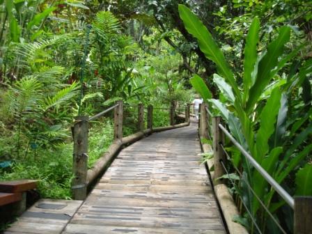 Boardwalk Botanical Garden Hawaii